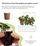 Сменный картридж Click&Grow красный сладкий перец 3 капсулы (4742793009278) - изображение 3