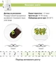Сменный картридж Click&Grow желтые мини-томаты 3 капсулы (4742793009124) - изображение 5