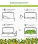 Wkład wymienny Click&Grow żółte mini pomidory 3 kapsułki (4742793009124) - obraz 3