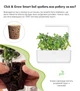 Сменный картридж Click&Grow карликовый горошек 3 капсулы (4742793008998) - изображение 3