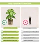 Сменный картридж Click&Grow карликовый горошек 3 капсулы (4742793008998) - изображение 4