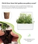 Сменный картридж Click&Grow Розмарин 3 шт (4742793008936) - изображение 4