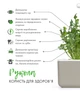 Сменный картридж Click&Grow Руккола 3 шт (4742793008769) - изображение 6