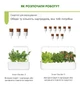 Сменный картридж Click&Grow Руккола 3 шт (4742793008769) - изображение 7