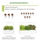 Змінний картридж Click&Grow Коріандр (8417) - изображение 12