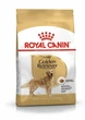 Сухой корм для собак Royal Canin Golden Retriever Adult для породы Золотистый ретривер от 15 месяцев 12 кг - изображение 1