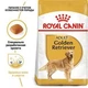Сухой корм для собак Royal Canin Golden Retriever Adult для породы Золотистый ретривер от 15 месяцев 12 кг - изображение 2