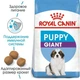 Сухой корм для щенков Royal Canin Giant Puppy для гигантских пород от 2 месяцев 15 кг - изображение 2