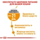 Сухой корм для котов Royal Canin Hair and Skin Care для кожи и шерсти от 12 месяцев до 7 лет 10 кг - изображение 3