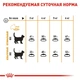 Сухой корм для котов Royal Canin Hair and Skin Care для кожи и шерсти от 12 месяцев до 7 лет 10 кг - изображение 6