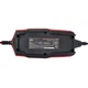Зарядний пристрій Vitals Master Smart 3000 182531 - изображение 8
