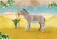 Zestaw figurek Playmobil Wiltopia African Wild Donkey (4008789712899) - obraz 3