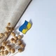 Брошка-шпилька значок срібний Прапор України з Тризубом із жовто-блакитною емаллю срібло 925 7074 2.90г - зображення 4