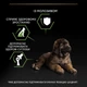 Сухой корм для щенков больших пород Purina Pro Plan Large Robust Puppy <2 Healthy Start с курицей 12 кг (7613035120341) - изображение 7