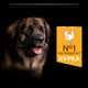 Сухий корм для дорослих собак великих порід Purina Pro Plan Large Robust Adult 2+ Everyday Nutrion з куркою 14 кг (7613035120426) - зображення 7