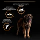 Сухий корм для дорослих собак великих порід Purina Pro Plan Large Robust Adult 2+ Everyday Nutrion з куркою 14 кг (7613035120426) - зображення 8