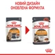 Влажный корм Royal Canin Hair & Skin Gravy для котов для здоровья кожи 85 г (арт 40710010) - изображение 3