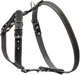 Шлейка Collar одинарна для дрібних і середніх собак (ширина 20 мм, А:40-56 см, В:57-65 см) Чорна (06361Collar) - зображення 2