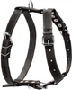 Шлейка Collar одинарна (ширина 25 мм, А: 49-68 см, В: 68-80 см) Чорна (06381Collar) - зображення 1