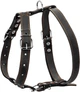 Шлейка Collar одинарна (ширина 25 мм, А: 49-68 см, В: 68-80 см) Чорна (06381Collar) - зображення 2