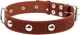 Ошейник Collar одинарный с украшениями (ширина 35 мм, длина 48-63 см) Коричневый (02716Collar) - изображение 2