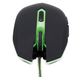 Мышь Gembird musg-001-g, usb інтерфейс, зелений колір - изображение 2