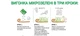 Набір мікрозелені Веган, горох Leda Agro - изображение 4