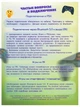 Беспроводной геймпад для PC/PlayStation 4 Green Camo - изображение 5