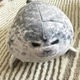 Плюшева м’яка іграшка Тюлень Seal тренди TikTok декор для кімнати (27 см) - зображення 4