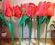 Изолон цветной 2 мм черешня - изображение 6