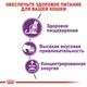 Сухой корм для котов Royal Canin Sensible 33 при чувствительной пищеварительной системе с 12 месяцев до 7 лет 10 кг - изображение 3