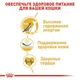 Сухой корм для котов Royal Canin Sphynx Adult породы Сфинкс от 12 месяцев 10 кг - изображение 3