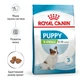 Cухий корм для цуценят Royal Canin X-Small Puppy 500 г - изображение 2