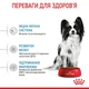 Cухий корм для цуценят Royal Canin X-Small Puppy 500 г - изображение 4