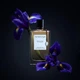Парфюмированная вода для женщин Van Cleef & Arpels Extraordinaire Bois D’Iris 75 мл - изображение 4