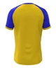 Футболка волейбольная мужская RIGO OMEGA Yellow-Blue L - изображение 3