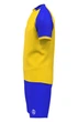 Форма волейбольная мужская RIGO OMEGA Yellow-Blue 2XL - изображение 4