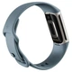 Голубой Фитнес-трекер Fitbit Charge 5 Steel Blue / Platinum Stainless Steel - изображение 4