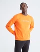 Свитшот-кофта Calvin Klein Jeans , L - изображение 1