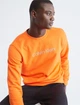 Свитшот-кофта Calvin Klein Jeans , L - изображение 2