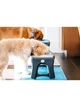 Миска подвійна для собак і котів Dexas Adjustable Height 2хPet Feeder з регульованими ніжками 960 мл Сірий (PW120432429) - зображення 5