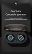 Бездротові навушники HYUNDAI Bluetooth 5.2 TWS Black (732369371261) - зображення 12