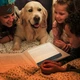 Светодиодный светильник лампа для чтения книг Book Lamp 17 см 388 - изображение 2