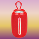 Портативная Bluetooth колонка TG653 USB/TF 5W с ремешком Red - изображение 1