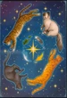 Карты Оракул Ежедневный для ведьмы - Everyday Witch Oracle - изображение 7