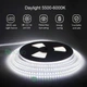 Светодиодная лента PROLUM™ самоклеящаяся гибкая 12V SMD2835 светодиодов на метр 120 Standard Белый (5500-6000К) 5 метров (без блока питания) - изображение 1