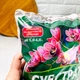 Ґрунт Субстрат для Орхідей 2.5 л - зображення 2