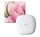 Фіксуюча пудра з сяючим фінішем Kiko Milano Blossoming Beauty Blooming Perfecting Powder - зображення 2