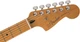 Электрогитара FENDER PLAYER PLUS METEORA LTD SAPFIRE BLUE TRANSPARENT - изображение 6