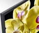 Телевизор 75 дюймов Sony KD-75XG8096 (4K Android TV Bluetooth T2/S2 — 8116578325) Б/У - изображение 5